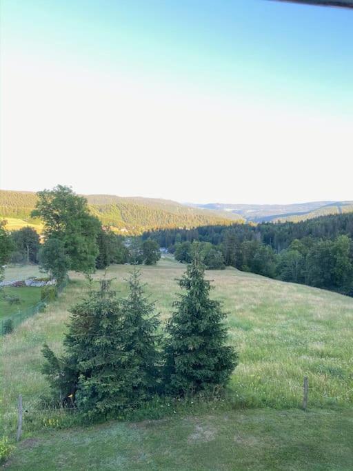 Appartement Lumineux Avec Vue Sur Les Montagnes Morbier Exterior photo